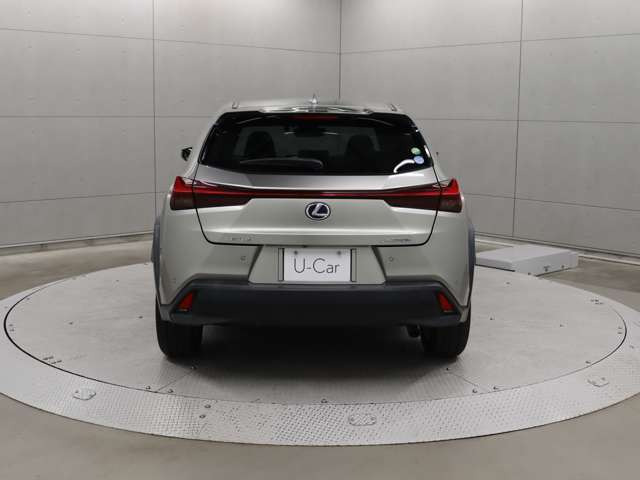 UX250h バージョンC