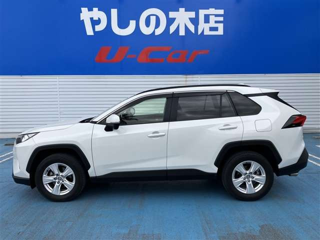 RAV42.0 X
