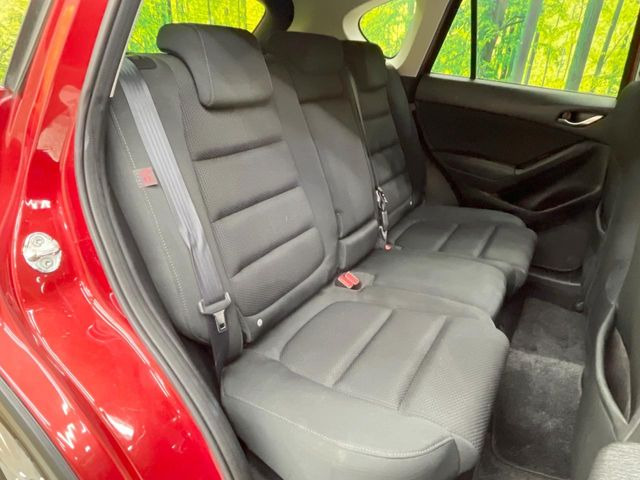 �㕔���Ȃ��C�ɂȂ�悤�ȃL�Y�E�����ւ��蓙�A�傫�ȃ_���[�W�͂Ȃ��A�ǍD�ȏ�Ԃł��B