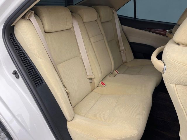 �㕔���Ȃ��C�ɂȂ�悤�ȃL�Y�E�����ւ��蓙�A�傫�ȃ_���[�W�͂Ȃ��A�ǍD�ȏ�Ԃł��B