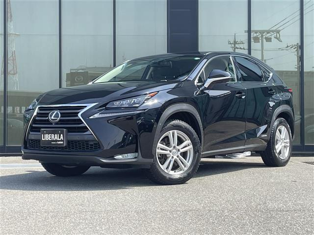 NX300h バージョンL