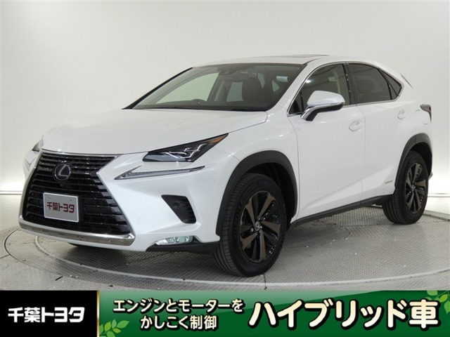 NX300h バージョンL