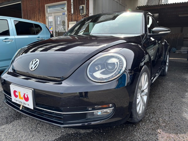 ザ・ビートルデザイン レザーパッケージ