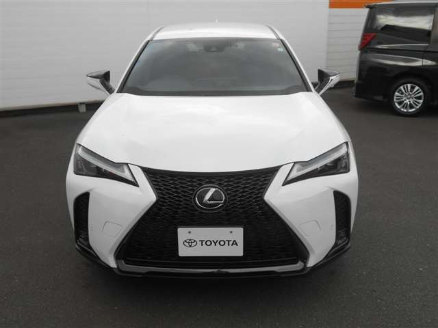UX250h Fスポーツ