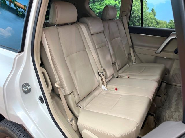 �㕔���Ȃ��C�ɂȂ�悤�ȃL�Y�E�����ւ��蓙�A�傫�ȃ_���[�W�͂Ȃ��A�ǍD�ȏ�Ԃł��B