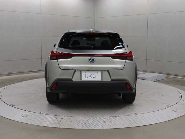 UX250h バージョンC