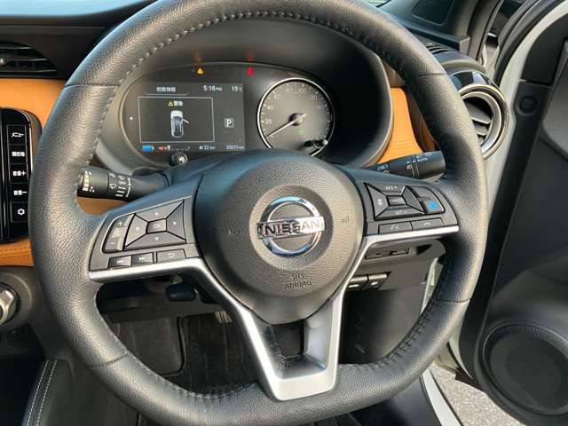 ���{�v���X�e�A�����O�������Ƃ�Ǝ�ɓ���ޖ{�v�Ȃ�ł͂̊��G!�m���ȑ��슴!