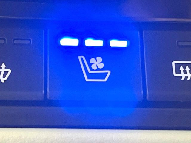 �y�V�[�g�x���`���[�V�����z�ď�͗��������ł��K��w���̔M�⃀����h���A�~�̓G�A�R�������������܂��ă|�J�|�J��!�G�߂��킸���K�ɉ߂����܂��B