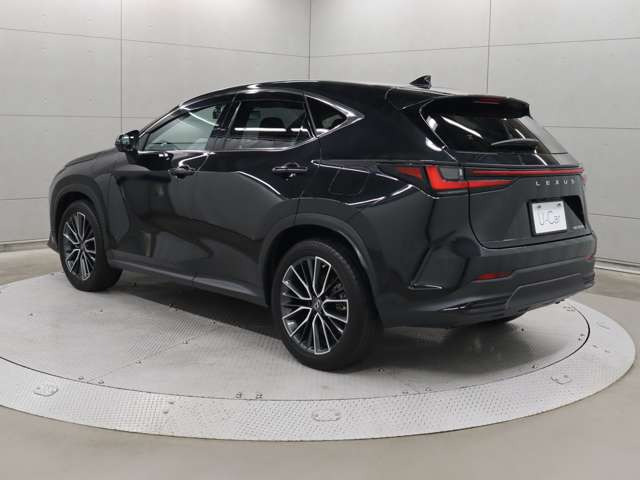 NX350h バージョンL