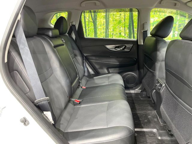 �㕔���Ȃ��C�ɂȂ�悤�ȃL�Y�E�����ւ��蓙�A�傫�ȃ_���[�W�͂Ȃ��A�ǍD�ȏ�Ԃł��B