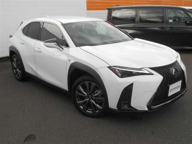 UX250h Fスポーツ