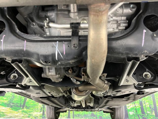 ����肪���ꂢ�Ȃ����ɁA�h�K���H�̎{�H���I�X�X���B�~��n��͂������A���ݕ��ɂ��Z���̕���A��Ń}�����E�E�B���^�[�X�|�[�c���������ɂ��D�]���������Ă���܂��B