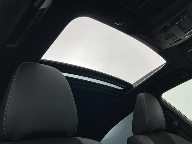 IS500 Fスポーツ パフォーマンス