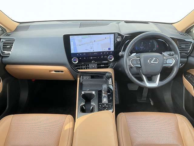 NX250 バージョンL