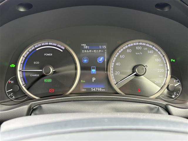 NX300h Fスポーツ