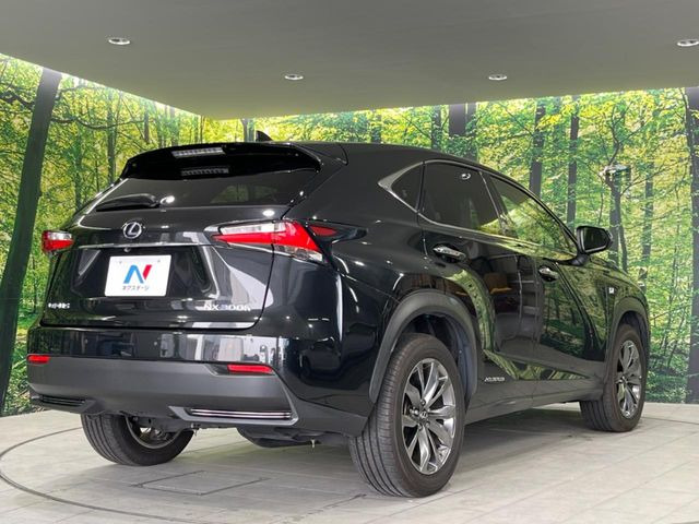 ���S���̃l�N�X�e�[�W���炨���񂹂��\��!�����̓X�܂ɓW�����Ă���N���}���C�ɂȂ�ꍇ���A�Ŋ��̓X�܂ł��������������Ƃ��\�ł�!���񎄂����ɗv�]������������������!���ʓr��p