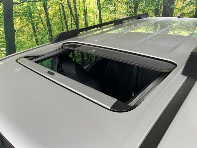 �y�T�����[�t�z�J���������Ղ�̊󏭑����A�T�����[�t����������Ă��܂�!�ԓ��ɖ�����������ꂽ��i�F���y���ވȊO�ɂ��A�ԓ��̋�C���ȒP�Ɋ��C�ł��ĉ��K�ł�!