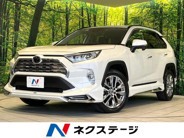 RAV42.0 G Zパッケージ 4WD
