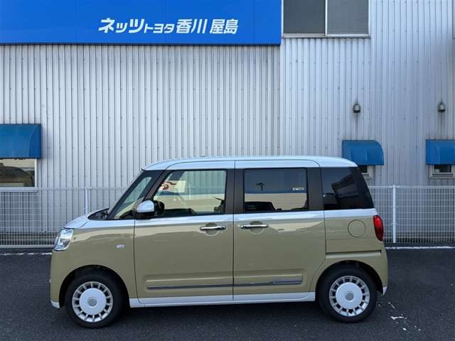 ムーヴキャンバスストライプス G