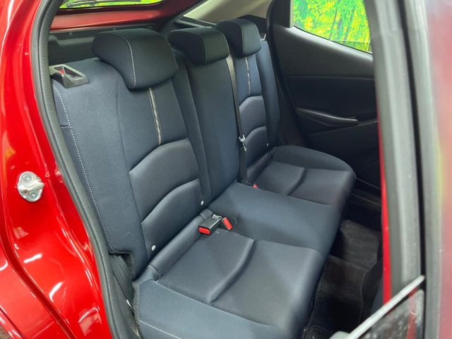 �㕔���Ȃ��C�ɂȂ�悤�ȃL�Y�E�����ւ��蓙�A�傫�ȃ_���[�W�͂Ȃ��A�ǍD�ȏ�Ԃł��B