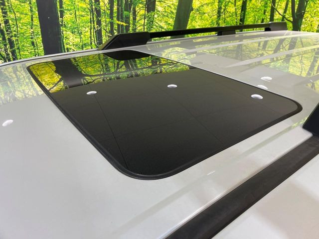 �y�T�����[�t�z�J���������Ղ�̊󏭑����A�T�����[�t����������Ă��܂�!�ԓ��ɖ�����������ꂽ��i�F���y���ވȊO�ɂ��A�ԓ��̋�C���ȒP�Ɋ��C�ł��ĉ��K�ł�!