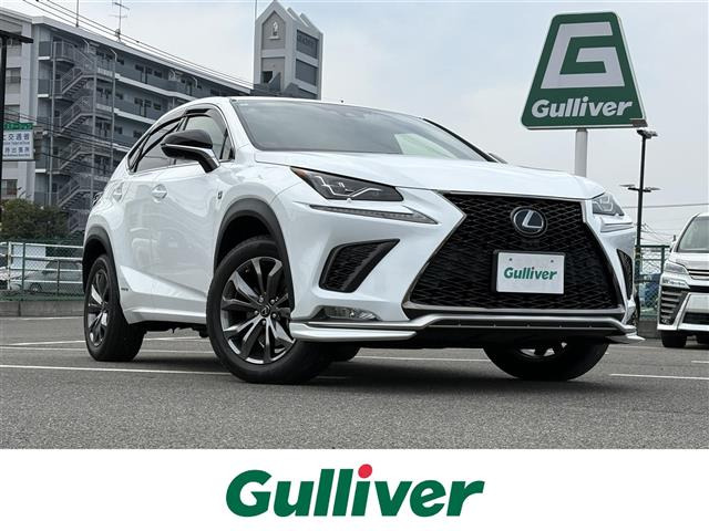 NX300h Fスポーツ