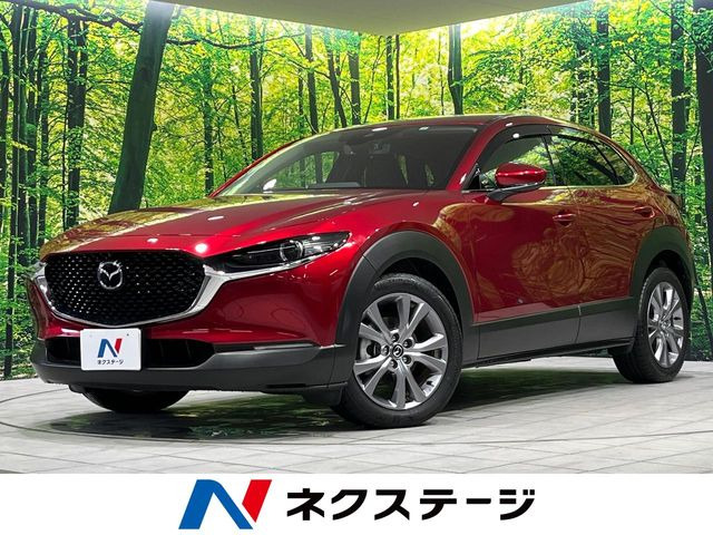 CX-30(�}�c�_) 1.8 XD �v���A�N�e�B�u �c�[�����O�Z���N�V���� ���Îԉ摜