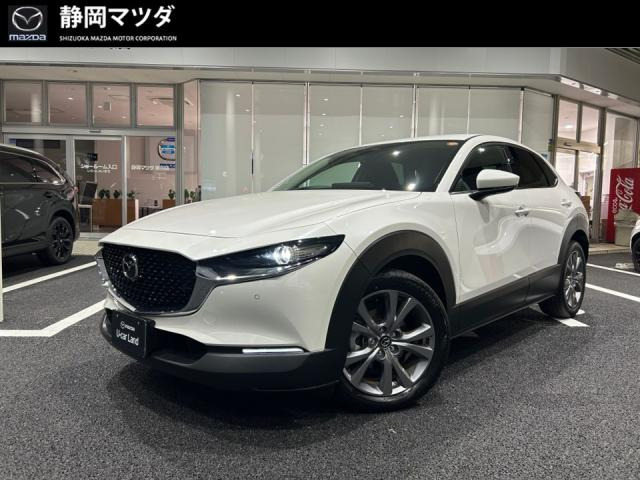 CX-301.8 XD Sパッケージ