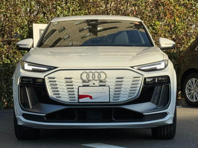 Q6 e-tronクワトロ アドバンスト Sラインパッケージ 4WD