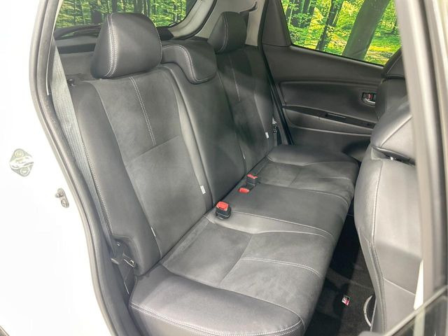 �㕔���Ȃ��C�ɂȂ�悤�ȃL�Y�E�����ւ��蓙�A�傫�ȃ_���[�W�͂Ȃ��A�ǍD�ȏ�Ԃł��B