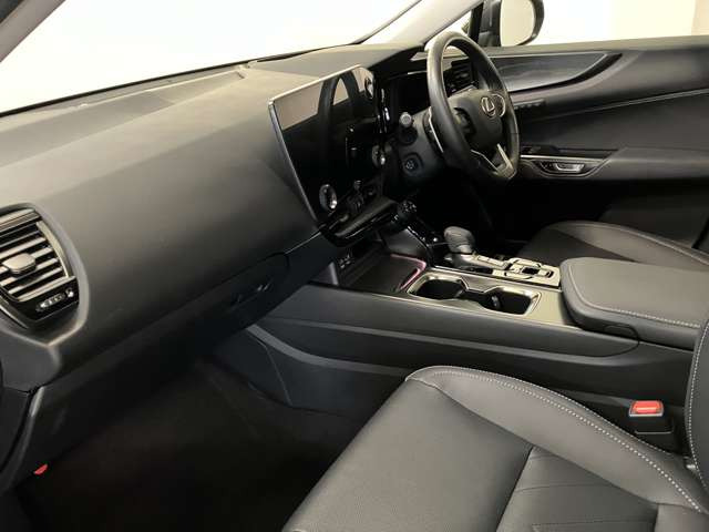 NX250 バージョンL