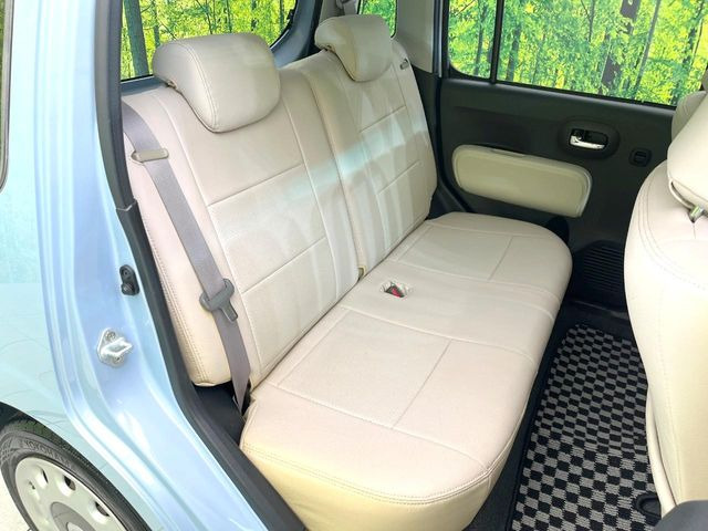 �㕔���Ȃ��C�ɂȂ�悤�ȃL�Y�E�����ւ��蓙�A�傫�ȃ_���[�W�͂Ȃ��A�ǍD�ȏ�Ԃł��B