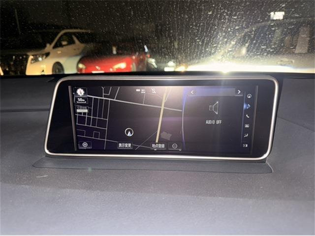 �͂����΂���̃t���b�V���݌ɂł����������܎B�e�����̐^���Œ�!�S�e���J�܂ł��Ə����B�Ƃ��Ă�����1��A���Ђ����҂�������!