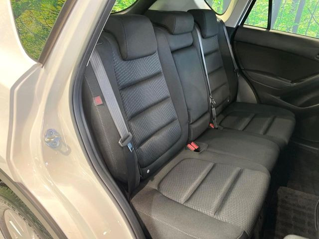 �㕔���Ȃ��C�ɂȂ�悤�ȃL�Y�E�����ւ��蓙�A�傫�ȃ_���[�W�͂Ȃ��A�ǍD�ȏ�Ԃł��B