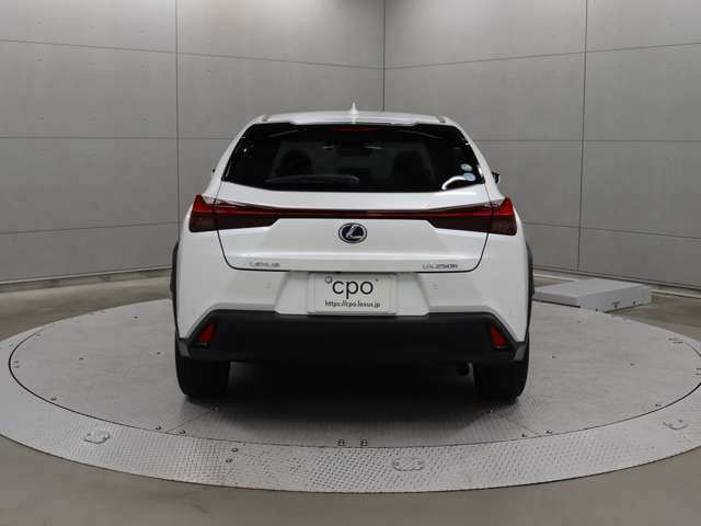 UX250h バージョンC