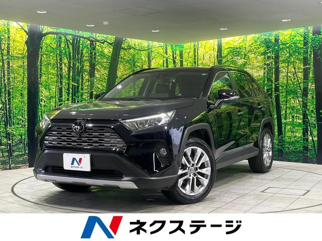 RAV42.0 G Zパッケージ 4WD