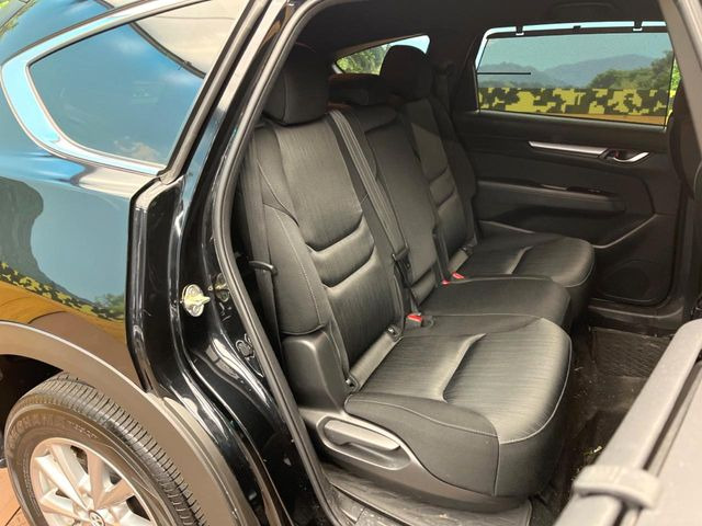 �㕔���Ȃ��C�ɂȂ�悤�ȃL�Y�E�����ւ��蓙�A�傫�ȃ_���[�W�͂Ȃ��A�ǍD�ȏ�Ԃł��B