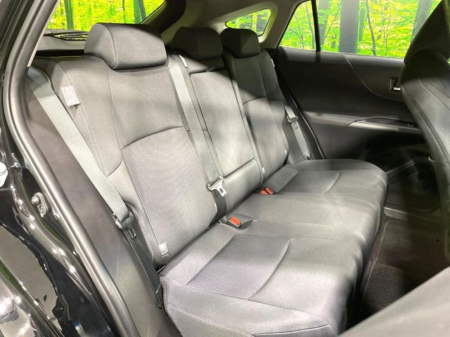 �㕔���Ȃ��C�ɂȂ�悤�ȃL�Y�E�����ւ��蓙�A�傫�ȃ_���[�W�͂Ȃ��A�ǍD�ȏ�Ԃł��B