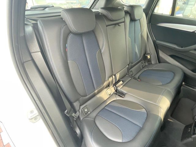 ���㕔���Ȃ��C�ɂȂ�悤�ȃL�Y�E�����ւ��蓙�A�傫�ȃ_���[�W�͂Ȃ��A�ǍD�ȏ�Ԃł��B