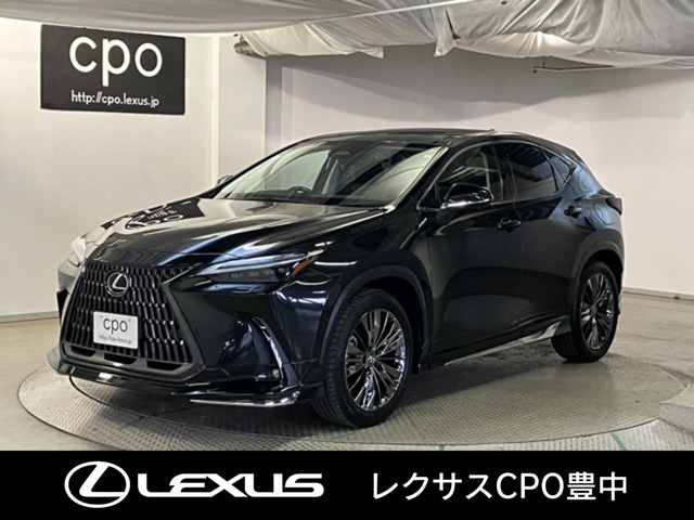 NX250 バージョンL