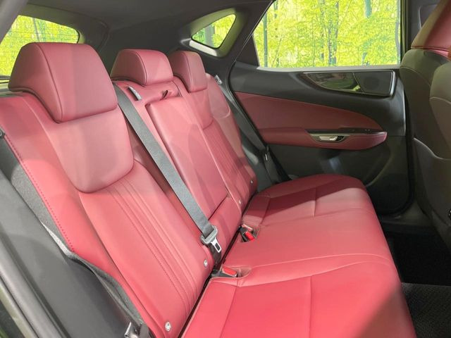 �㕔���Ȃ��C�ɂȂ�悤�ȃL�Y�E�����ւ��蓙�A�傫�ȃ_���[�W�͂Ȃ��A�ǍD�ȏ�Ԃł��B