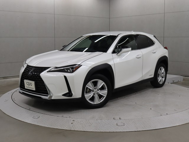 UX250h バージョンC