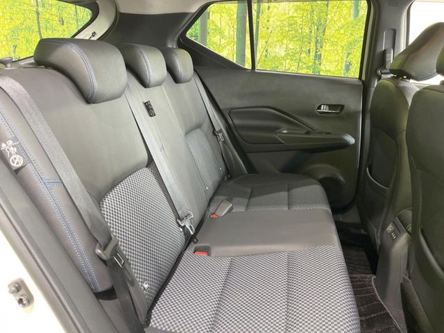 �㕔���Ȃ��C�ɂȂ�悤�ȃL�Y�E�����ւ��蓙�A�傫�ȃ_���[�W�͂Ȃ��A�ǍD�ȏ�Ԃł��B