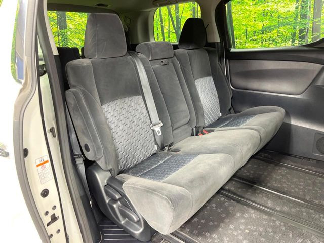 �㕔���Ȃ��C�ɂȂ�悤�ȃL�Y�E�����ւ��蓙�A�傫�ȃ_���[�W�͂Ȃ��A�ǍD�ȏ�Ԃł��B