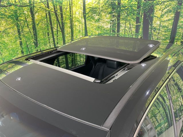 �y�T�����[�t�z�J���������Ղ�̊󏭑����A�T�����[�t����������Ă��܂�!�ԓ��ɖ�����������ꂽ��i�F���y���ވȊO�ɂ��A�ԓ��̋�C���ȒP�Ɋ��C�ł��ĉ��K�ł�!