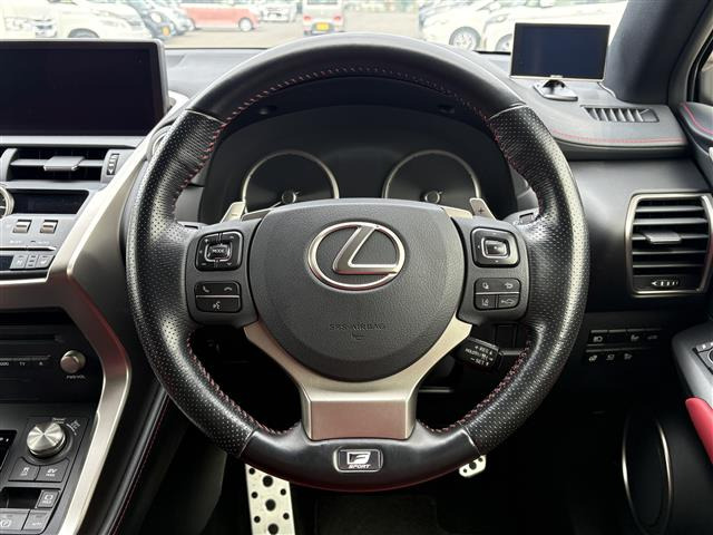 NX300h Fスポーツ