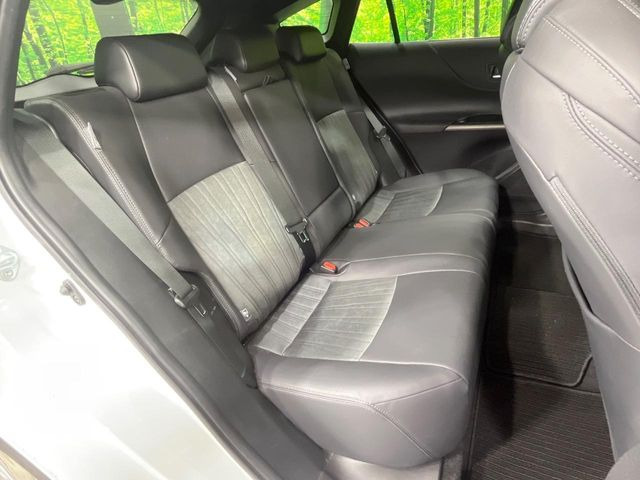 �㕔���Ȃ��C�ɂȂ�悤�ȃL�Y�E�����ւ��蓙�A�傫�ȃ_���[�W�͂Ȃ��A�ǍD�ȏ�Ԃł��B