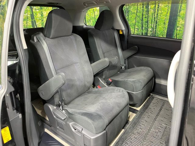 �㕔���Ȃ��C�ɂȂ�悤�ȃL�Y�E�����ւ��蓙�A�傫�ȃ_���[�W�͂Ȃ��A�ǍD�ȏ�Ԃł��B