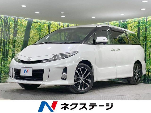 �G�X�e�B�}(�g���^) 3.5 �A�G���X ���U�[�p�b�P�[�W ���Îԉ摜