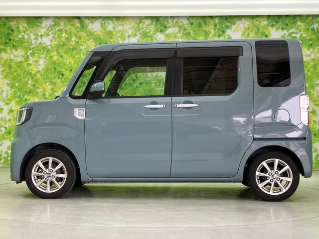 ピクシスメガL SAIII